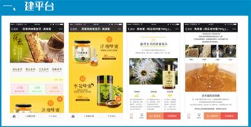 葆春蜂蜜微信營(yíng)銷案例 專業(yè)設(shè)計(jì)服務(wù)如何助力品牌蜂生水起
